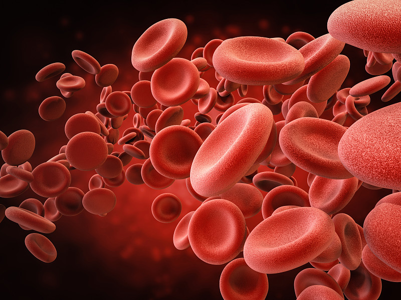 红细胞,水平画幅,血红蛋白,血细胞,微生物学,科学,生物学,特写,活力