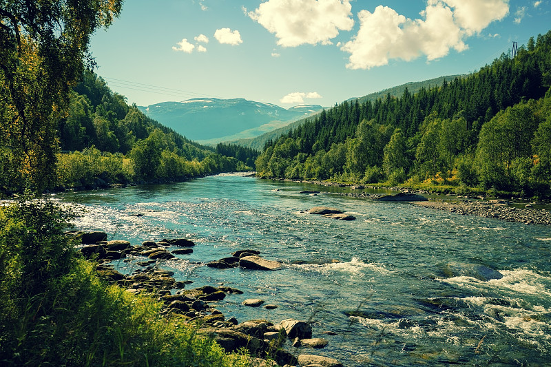 挪威,河流,山,秋天,河岸,树林,自然,北,地形,小溪