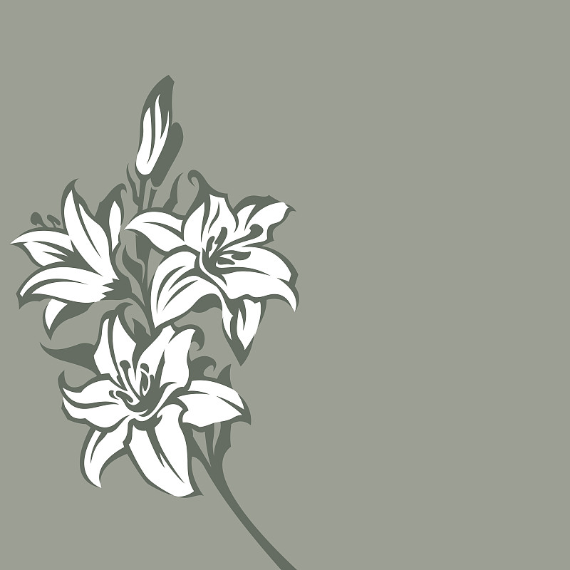 百合花,背景,枝繁叶茂,无人,绘画插图,夏天,图像,花束,植物,枝