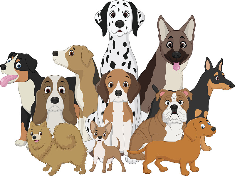 狗,卡通,乐趣,可爱的,大麦町,安全,纯种犬,梗犬,舒服,敏捷