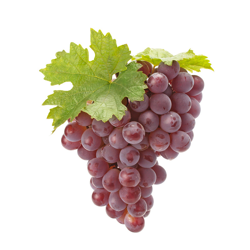 熟的,红葡萄,葡萄酒,素食,果汁,夏天,卷须,明亮,甜点心,农作物
