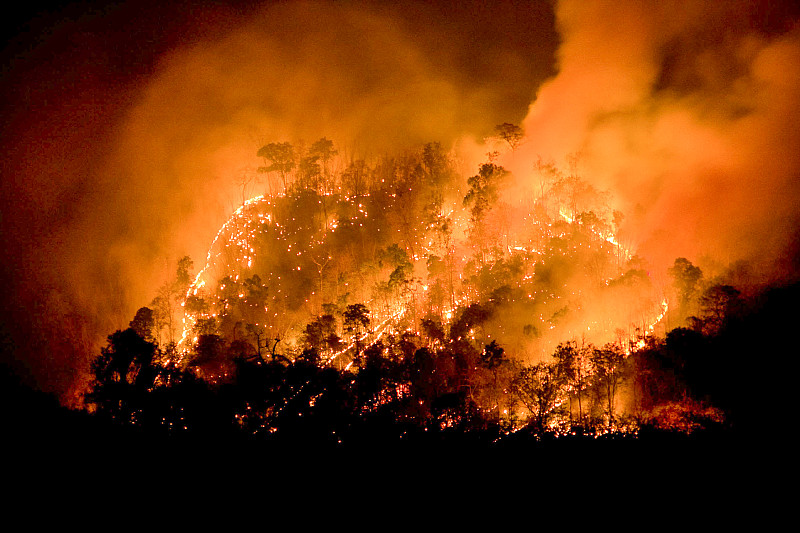 森林火灾,火,山,极端天气,森林,烧毁的,拆毁的,水平画幅,夜晚,无人
