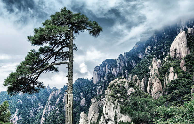 黄山山脉,名声,自然,公园,松树,旅游目的地,水平画幅,地形,山,岩石