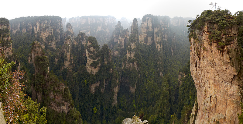 湖南省,公园,头像,天子山,自然立柱,武陵源,张家界,喀斯特,生态旅游,水平画幅