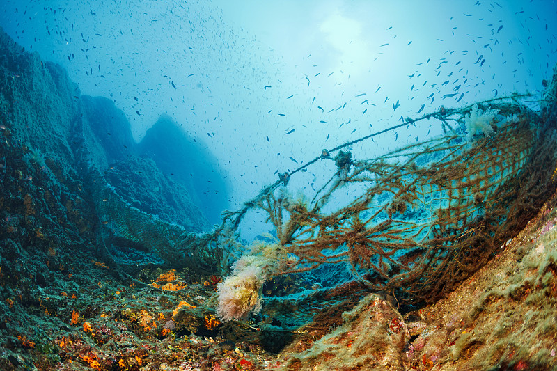 渔网,水下,从在水肺潜水的角度拍摄,古老的,礁石,鱼网,哈尔基迪基市,网,鱼群,在底端
