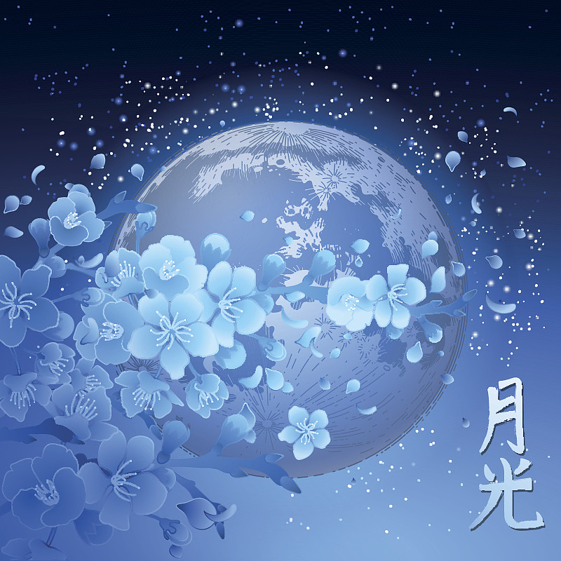 月球,樱之花,午夜,日文汉字,12点整,行星月亮,日文,日语,轻的,象形文字