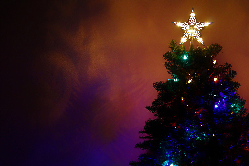 圣诞树,阴影,留白,水平画幅,树顶装饰,热,星形,欢乐,节日