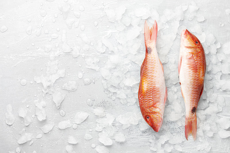 鲻鱼,冰,红色,背景,绯鲵鲣,冰块,海产,水平画幅,大西洋,生食