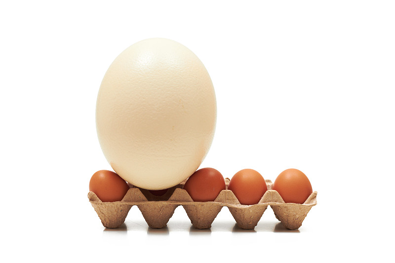 卵,成一排,水平画幅,小的,鸡蛋,无人,巨大的,白色背景,比例,背景分离
