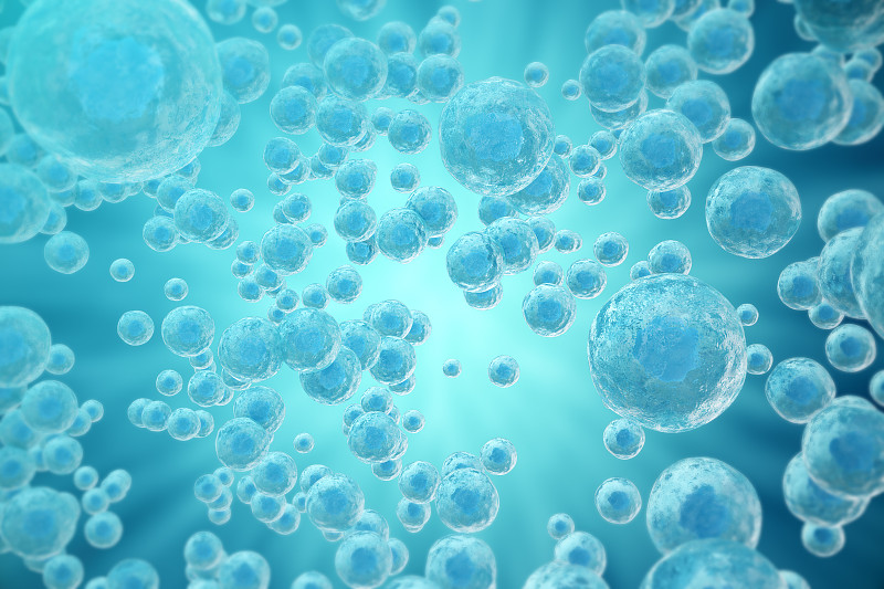 人体细胞,科学,三维图形,青绿色,有丝分裂,人工授精,干细胞,胚胎,免疫系统,癌细胞