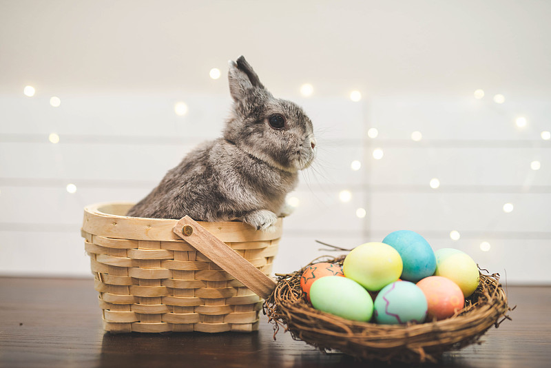 复活节彩蛋,小兔子,篮子,兔子,复活节,动物耳朵,野餐篮,水平画幅,鸡蛋,动物身体部位