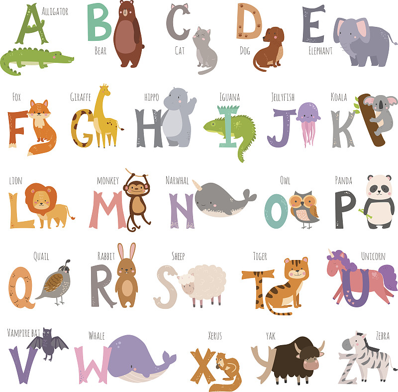 绘画插图,卡通,知识,字体,矢量,可爱的,动物,动物园,字母,文字