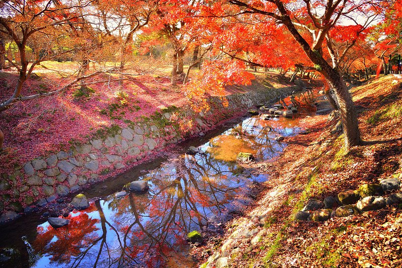 秋天,奈良公园,水,公园,长椅,里山,水平画幅,无人,运河,户外