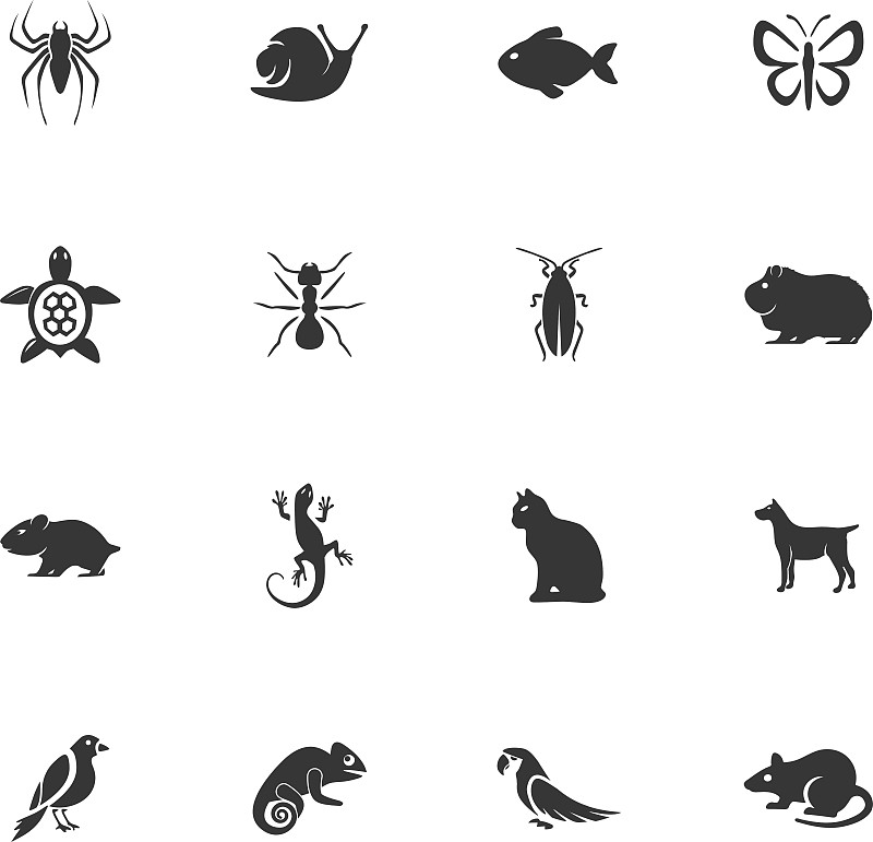符号,宠物,字体,狗,蜥蜴,海龟,动物,鸟类,蜗牛,蜘蛛