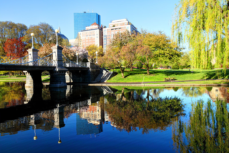 春天,波士顿,波士顿大众公园,波士顿公园,后湾,马萨诸塞,新英格兰,公园,美国,水平画幅