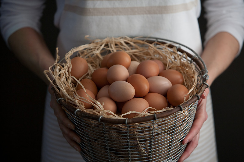 卵,篮子,清新,鸡,农场,女人,拿着,鸡蛋,蛋,拉菲草