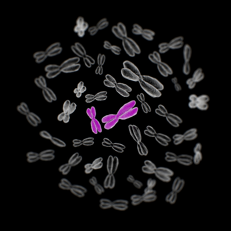 染色体,人类基因组码,性别标志,细胞核,生物化学,遗传研究,螺旋,显微镜,微生物学,父母