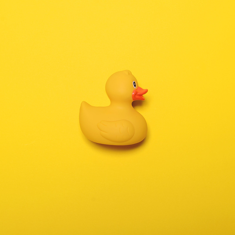 橡皮鸭子,式样,黄色,极简构图,黄色背景,鸭子,小鸭子,可爱的,无人,鸟类