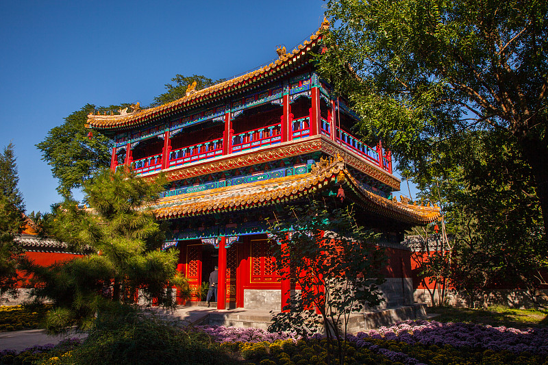 故宫,北京,建筑,远古的,桨叉架船,中式庭院,日落时分,庭院,古代,亭台楼阁