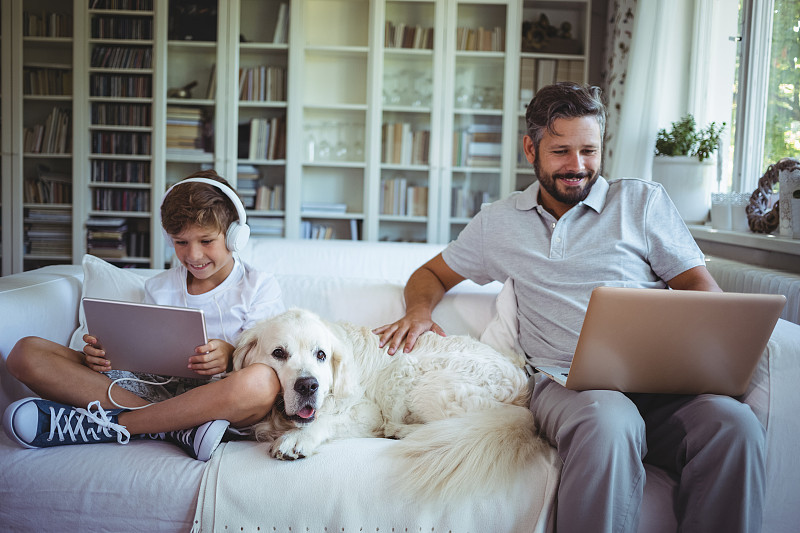 笔记本电脑,沙发,父子,使用平板电脑,单亲家庭,平板电脑,舒服,家庭生活,起居室,狗