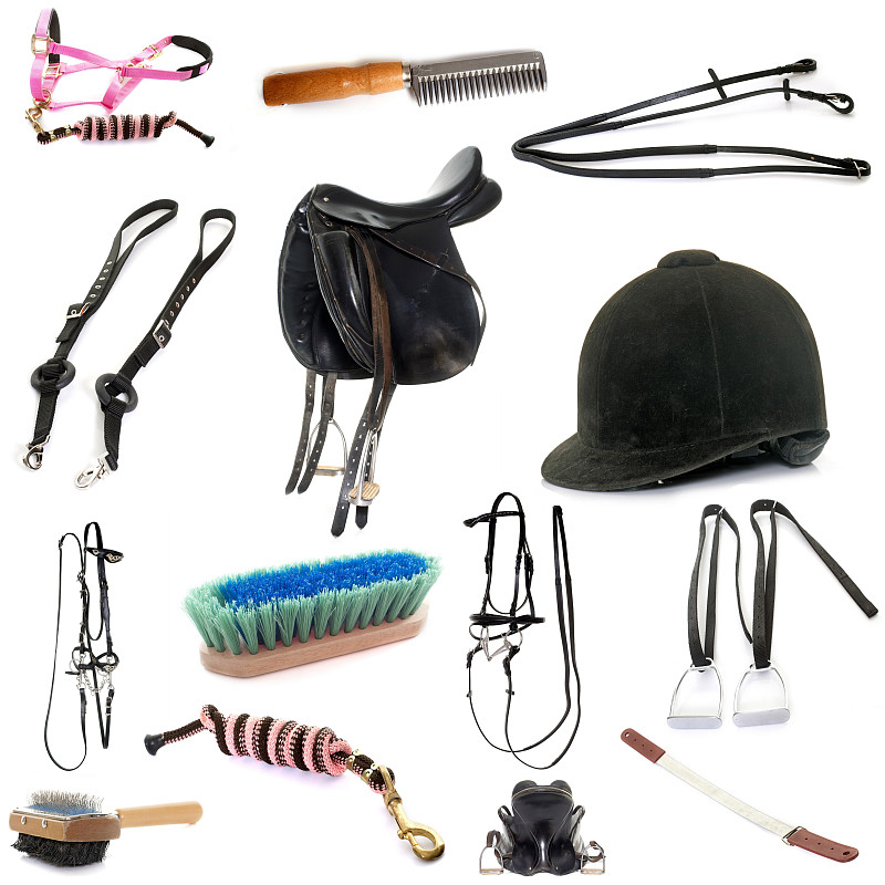 缰绳,马镫,马笼头,马勒,动物挽具,鞍,马,理毛行为,动物群,运动头盔
