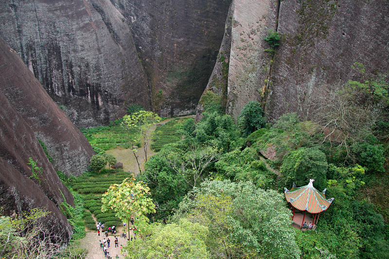 中国,风景,顶部,看风景,山,福建省,五台山,山西省,乌龙茶,自然保护区