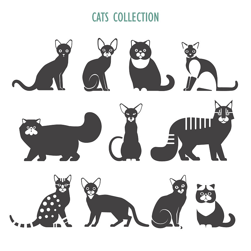 猫,计算机图标,哈瓦那棕猫,阿比西尼亚猫,长毛猫,俄罗斯蓝猫,史芬克斯无毛猫,波斯猫,波斯毯,短毛猫