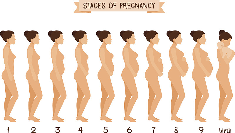 健康保健,女人,平坦的,自然美,人类母体内发育阶段,孕妇装,人类形象,怀孕的,孕检