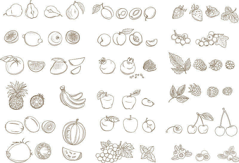 水果,绘画插图,清新,矢量,蔬菜,有机农庄,李子,蓝莓,蔓越桔,草莓