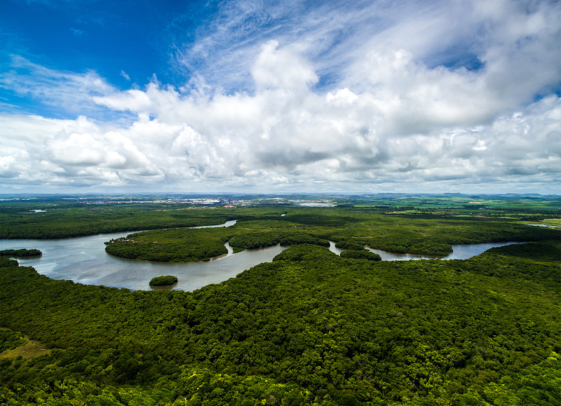 亚马逊雨林,巴西,南美,航拍视角,秘鲁亚马孙,亚马逊河,亚马逊地区,亚马孙,赤道,流域保护区
