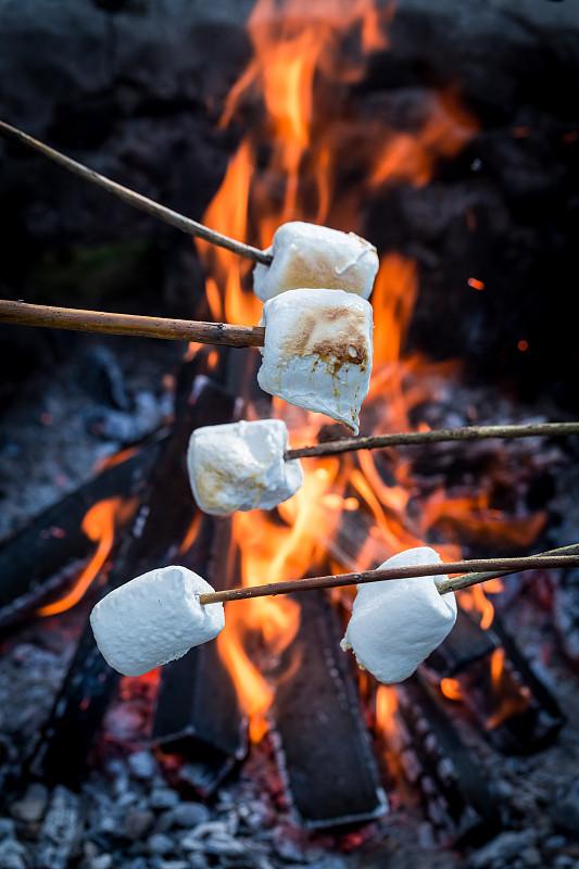 棉花软糖,大篝火,甜食,棍,热,在上面,营火,串肉签,烤的,烤肉架