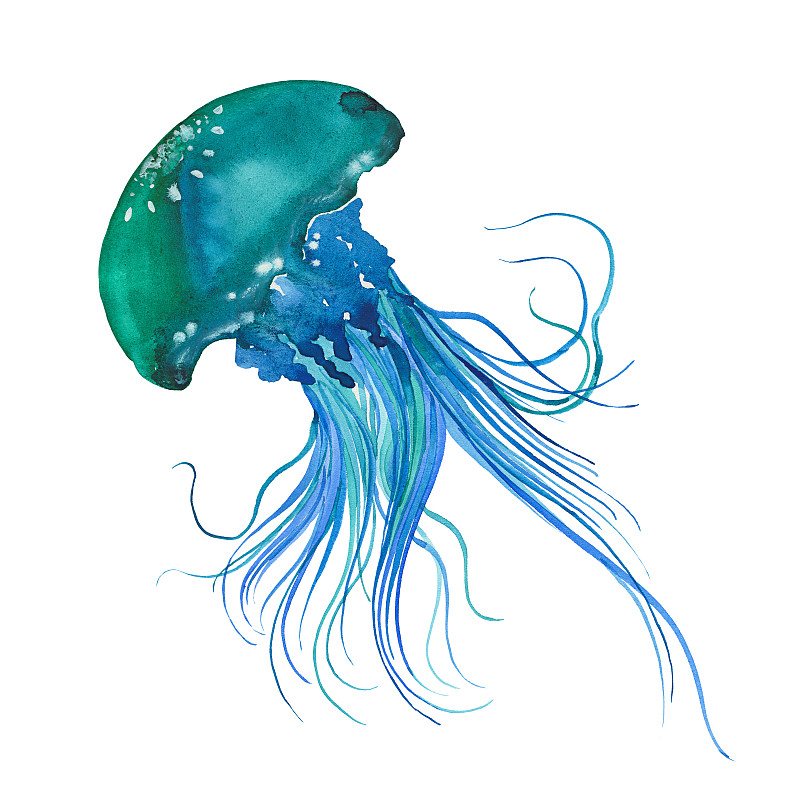 水母,蓝色,水彩画,水彩画颜料,水族馆,水生动植物,海洋,水下,生物学,深的