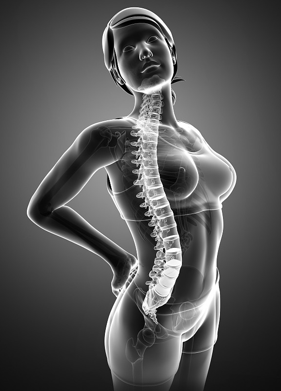 背痛,女人,脊柱,女性形象,脊椎,人类骨架,脖子,整形外科,男性形象