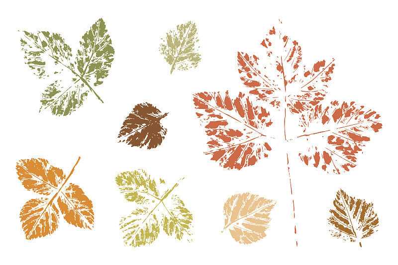 叶子,痕迹,秋季系列,秋天,斑驳的,灌木,嫩枝,布置,离开,收集