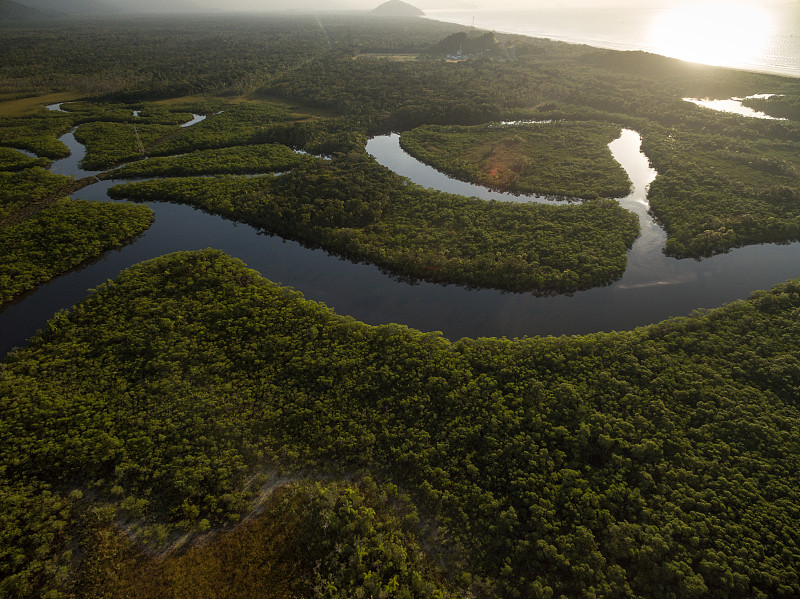 巴西,雨林,航拍视角,亚马逊地区,亚马逊河,秘鲁亚马孙,亚马逊雨林,亚马孙洲,流域保护区,马瑙斯