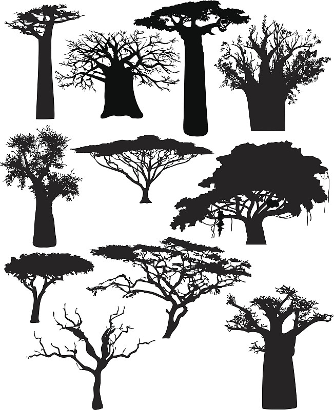 非洲,灌木,多样,猴面包树,轮廓,背景分离,垂直画幅,无人,绘画插图