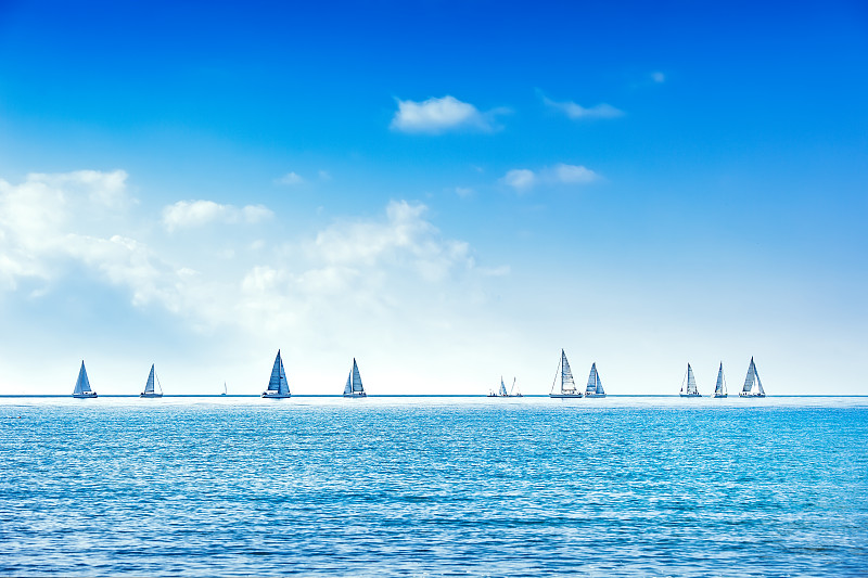 有帆船,赛舟会,海洋,水,游艇,帆,地平线,体育比赛,游艇比赛,船