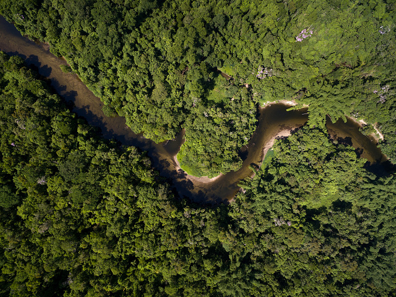 雨林,航拍视角,巴西,亚马逊河,亚马逊地区,流域保护区,秘鲁亚马孙,马瑙斯,亚马逊雨林,河流