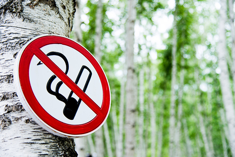 禁止吸烟记号,森林,禁止吸烟,不,吸烟问题,烟草,香烟,停止标志,警告标志,留白