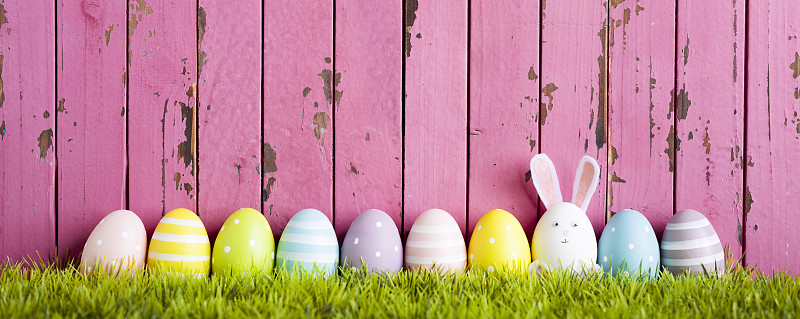 复活节彩蛋,兔子,草,幽默,复活节兔子,兔子耳朵服装,兔子装,三个物体,留白,复活节