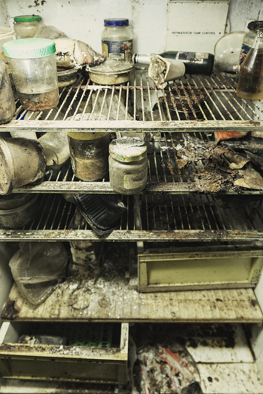 冰箱,被抛弃的,真菌和霉菌,不卫生的,霉病,肮脏的,过去,泥土,广角,垂直画幅
