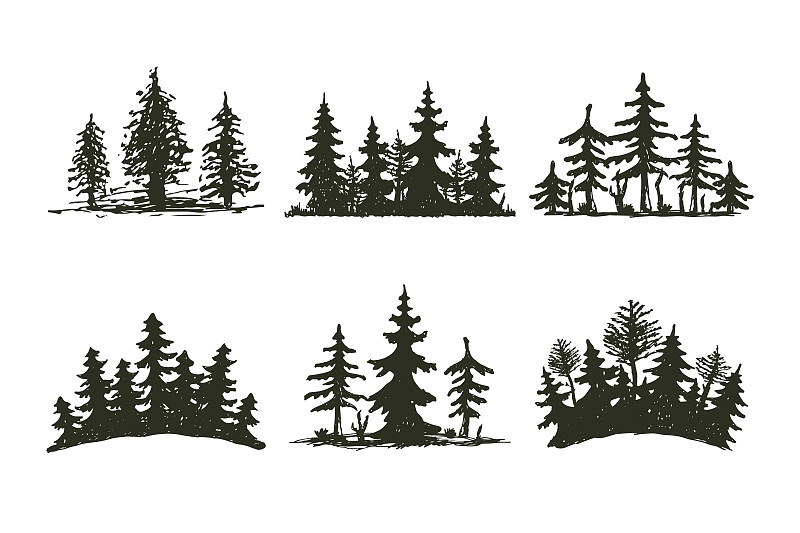 云杉,松树,雪松,绘画插图,矢量,枝,黑色,植物,叶子,自然