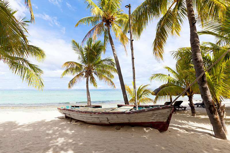 古老的,木制,天堂岛,椰子树,背景,渔船,鸡尾酒,毛里求斯,海滩遮阳伞,棕榈叶