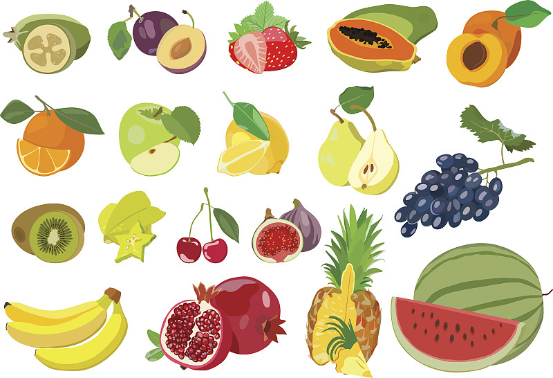 水果,绘画插图,矢量,多汁的,白色背景,石榴,凤梨番石榴,无花果,木瓜,杨桃