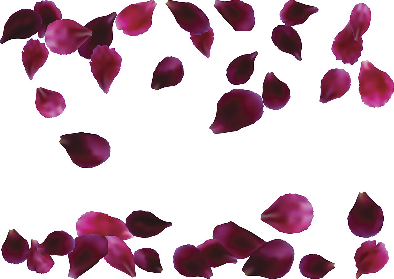 玫瑰花瓣,抽象,粉色,背景,红色,玫瑰色的,美,贺卡,留白,边框