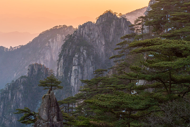 黄山山脉,安徽省,松树,中国,地形,桨叉架船,世界遗产,一只动物,旅游