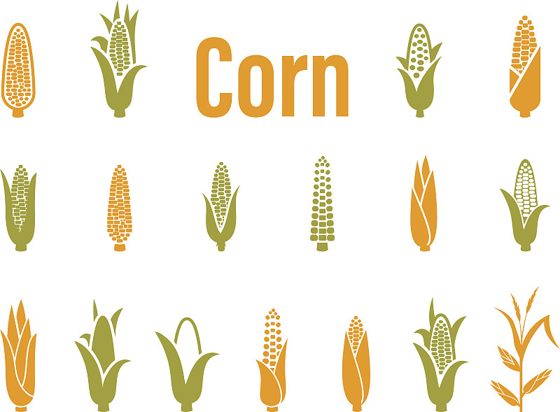 玉米,绘画插图,符号,矢量,白色背景,分离着色,大麦,农作物,稻草,种子