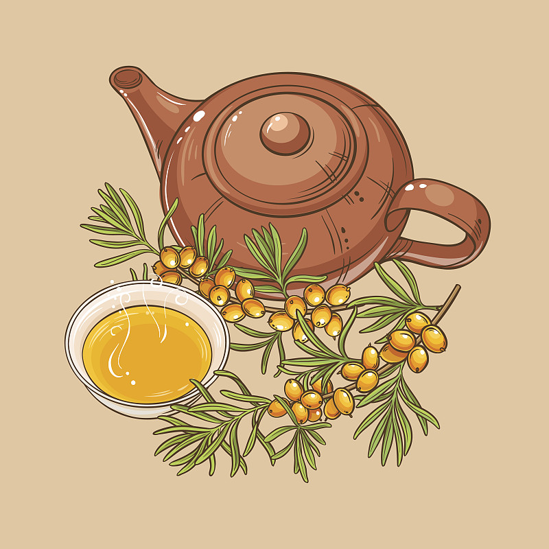 茶,沙棘,花盆,绿茶,茶杯,茶壶,花茶,素食,绘画插图,维生素