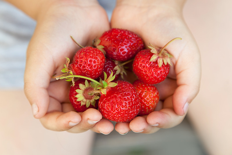 草莓,手,男孩,一把,学龄前,夏天,草,明亮,农作物,彩色图片