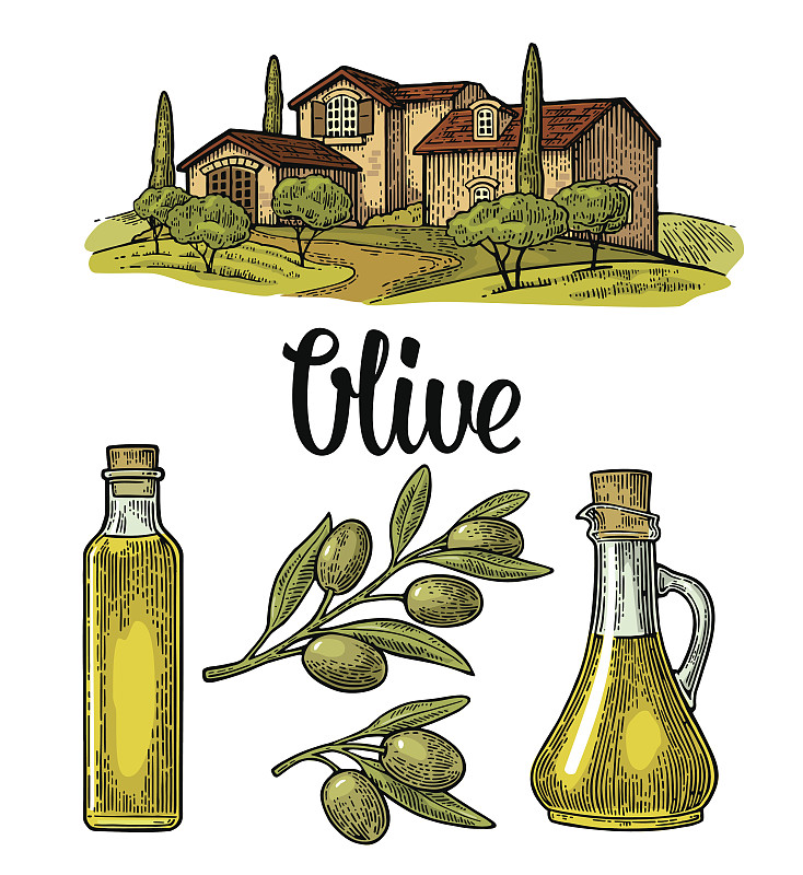 别墅,瓶子,枝,叶子,橄榄,地形,橄榄枝,木版画,油橄榄树,乌榄